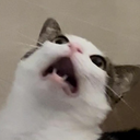 ch_lunagasp Discord emoji