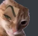 ayayaibrow