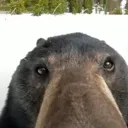 selfie