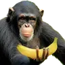 Emojiapebanana