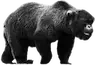 EmojiBearApe