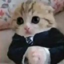 michielegante_FDB Discord emoji