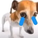 sadcuh Discord Emoji