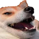 lul
