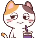 cat_unamused_sip