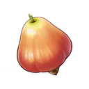 Sunsettia