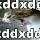 xdxDDxdD