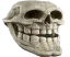trollskull