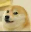 baldoge