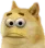 thedoge thedoge