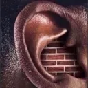brickear