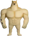 amarelo_dogebombado amarelo_dogebombado