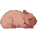 JorgeSleep JorgeSleep