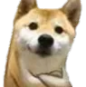FRdog