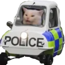 Cat Police cat_police Discord Emoji