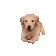 doggoArrive doggoArrive