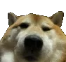Zug