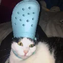 a4ca80d535b3cdc27f5d8d4f7d7b186c