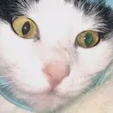 catinthehatextreme Discord Emoji