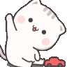 wavewavecattoycar