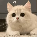 hakaseconfused