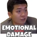 tgr_emotional_damage