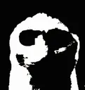 CatDespair CatDespair