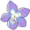 7633violet