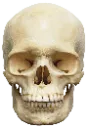 Bg_SkullIrl