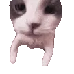 catHug