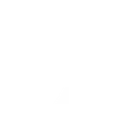 SEVENTEEN
