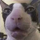 emoji_78
