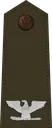 Colonel