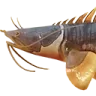 1_