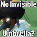 NoInvisibrella