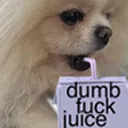 tofu_dumbfuckjuice tofu_dumbfuckjuice