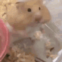 KU_HamsterSmile Discord emoji