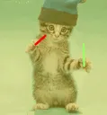 vibingcat