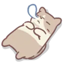 catSleep