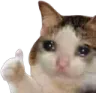 thumbsup