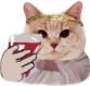 catwine Discord emoji
