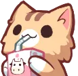 Catsip catsip Discord Emoji