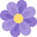 purple_flower