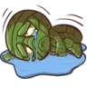 tlolcry