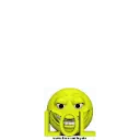 lolefar lolefar