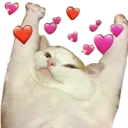 catluv catluv