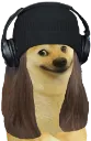 Jimmydoge