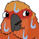 birbsweat