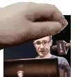 skin_pet