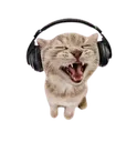 16cattoscweam